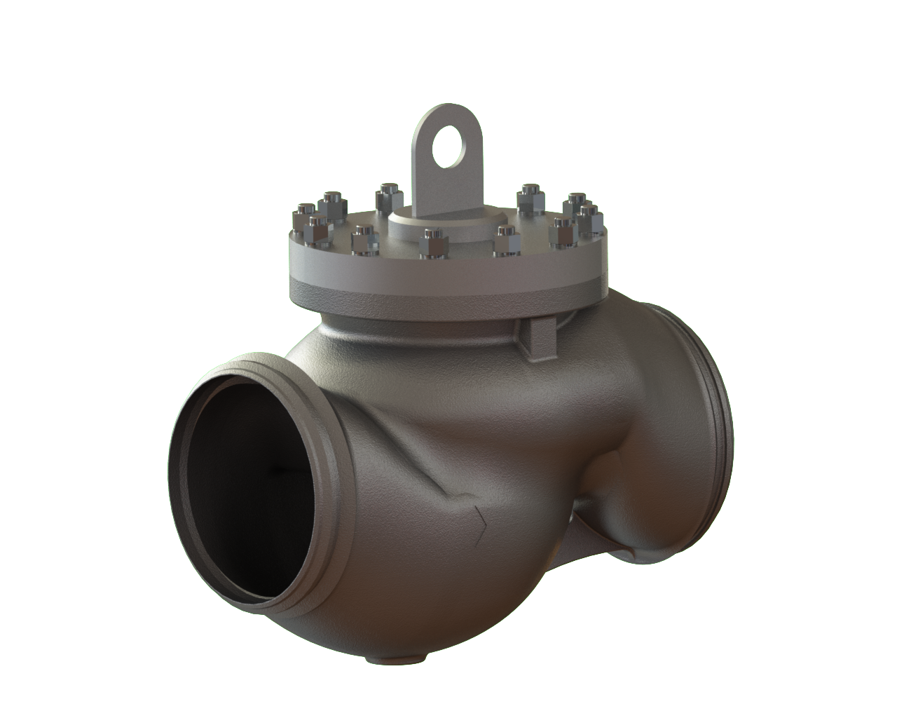 introduce-check-valve-4