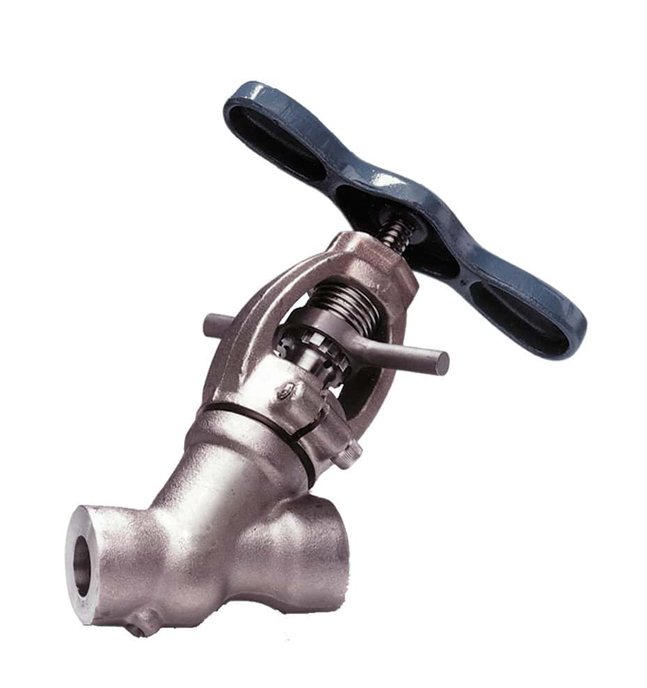 introduce-globe-valve-2