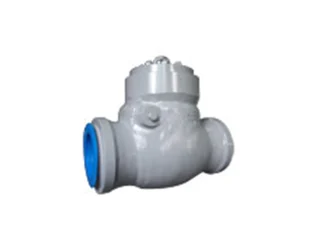 Pressure Seal Check Valve Pressure Seal Check Valve
