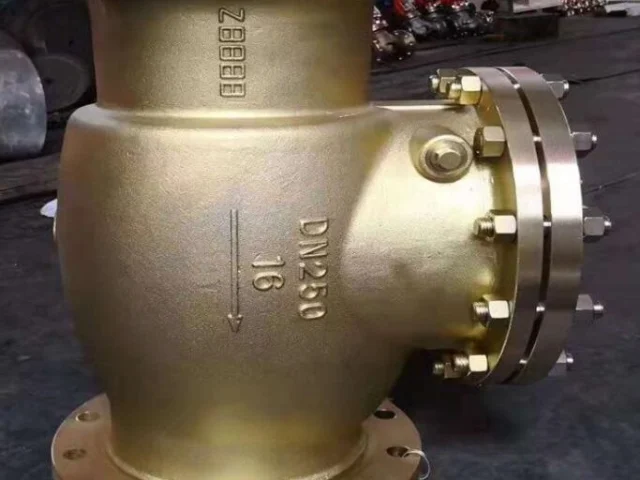 oxygen check valve