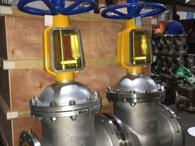 oxygen gate valve